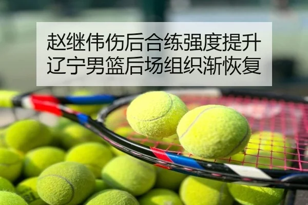 赵继伟伤后合练强度提升 辽宁男篮后场组织渐恢复